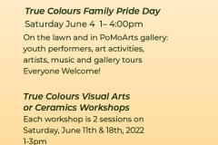 PoMoArts Graphic Design Work -rack cards