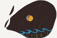 Whale