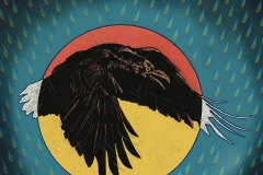 StormBird_sm