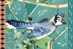 Teri-teri_blue