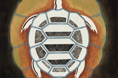 Turtle_Shell_sm