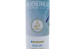 Amusing IPA Craft Beer Can Art -front